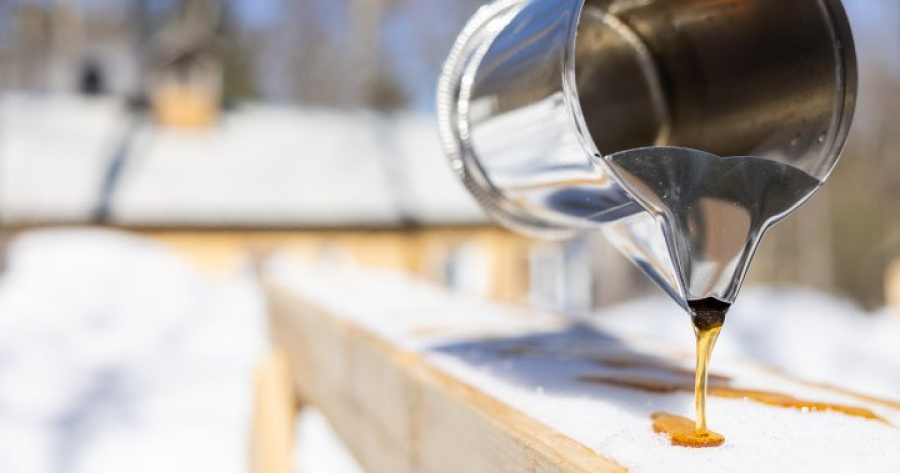 Sweet Dilemma: Canada&#039;s Maple Syrup Production Plummets to a 5-Year Low, Reserves Dwindle